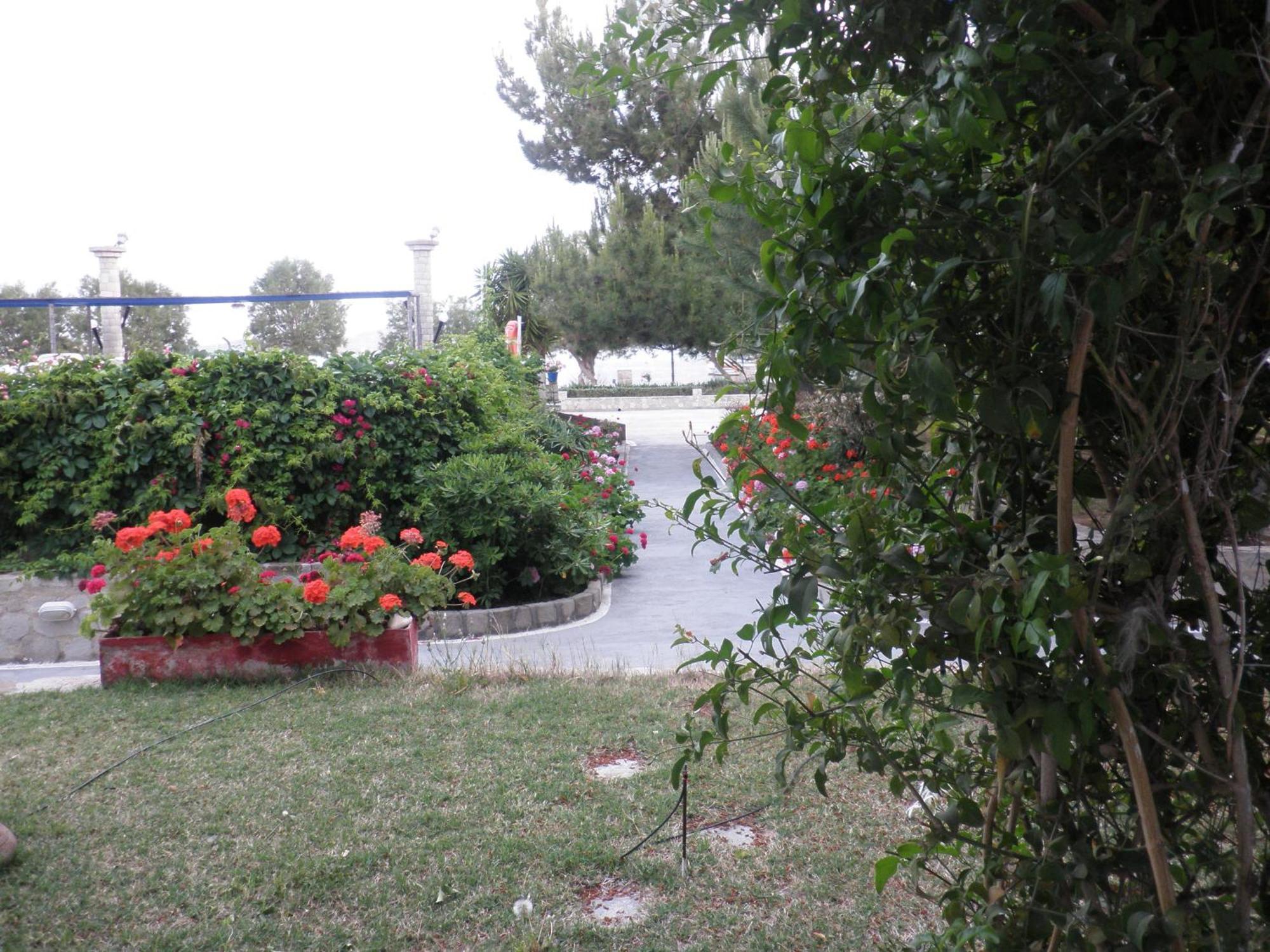 Lagada Beach Hotel Adamantas  Luaran gambar